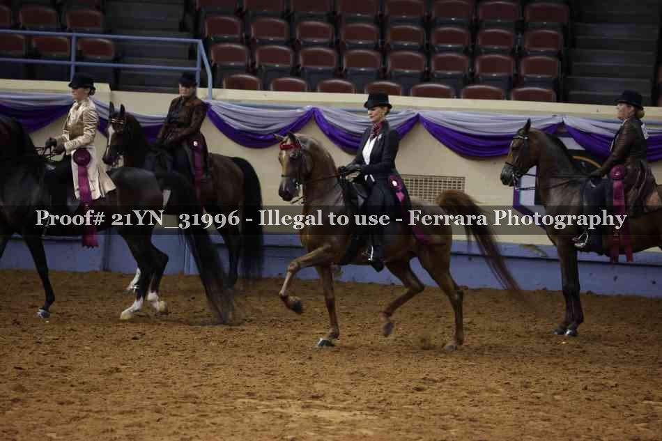 Proof 21YN_31996