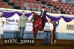 21YN_32011 proof