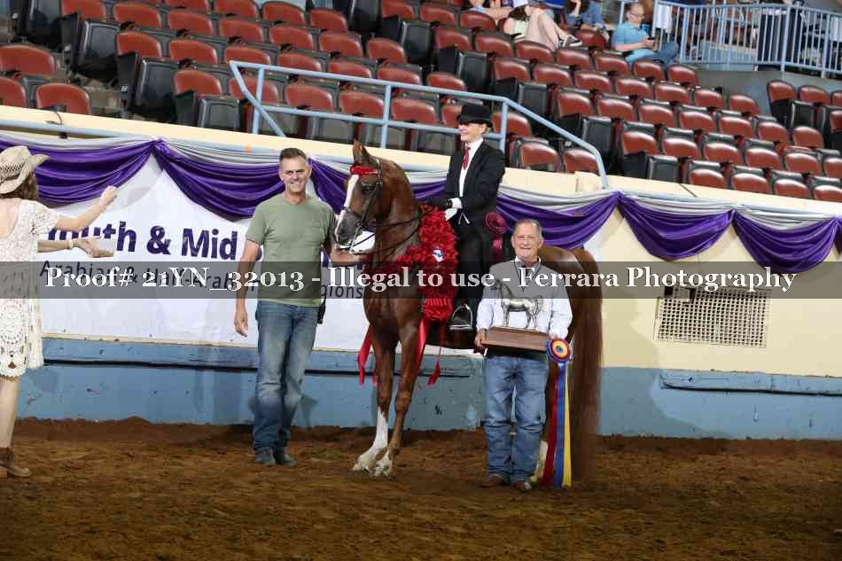 Proof 21YN_32013