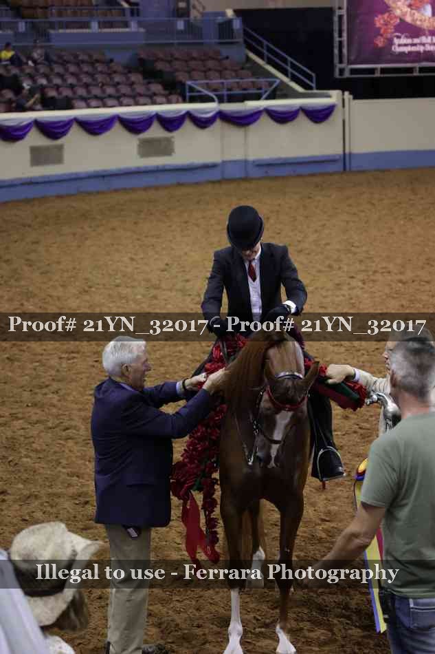 Proof 21YN_32017
