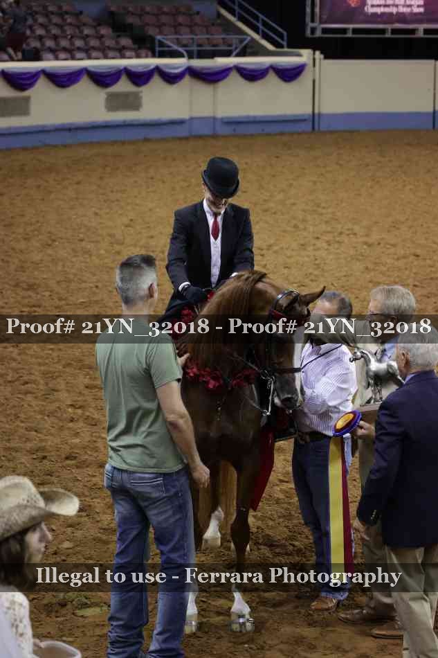 Proof 21YN_32018