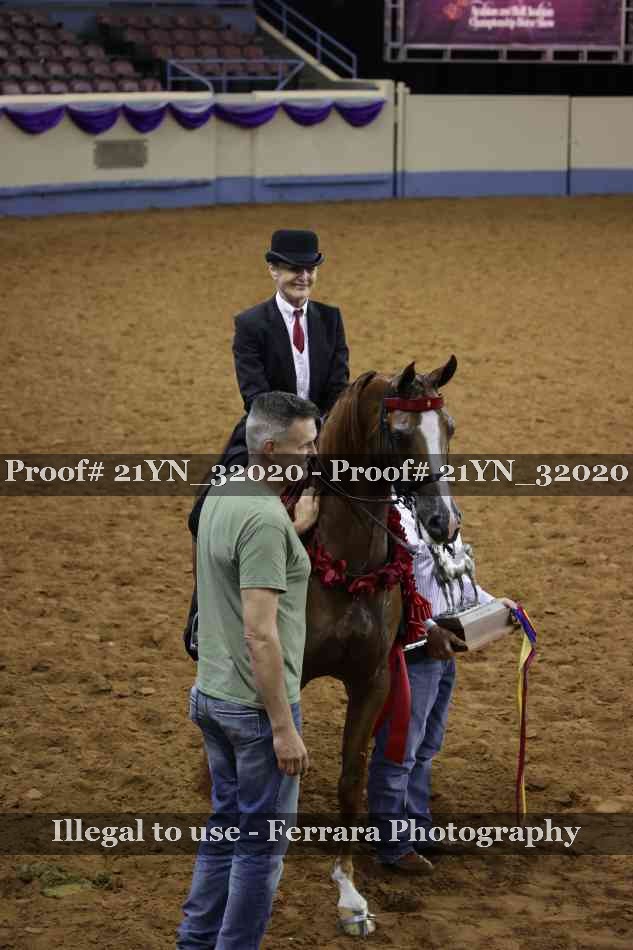 Proof 21YN_32020