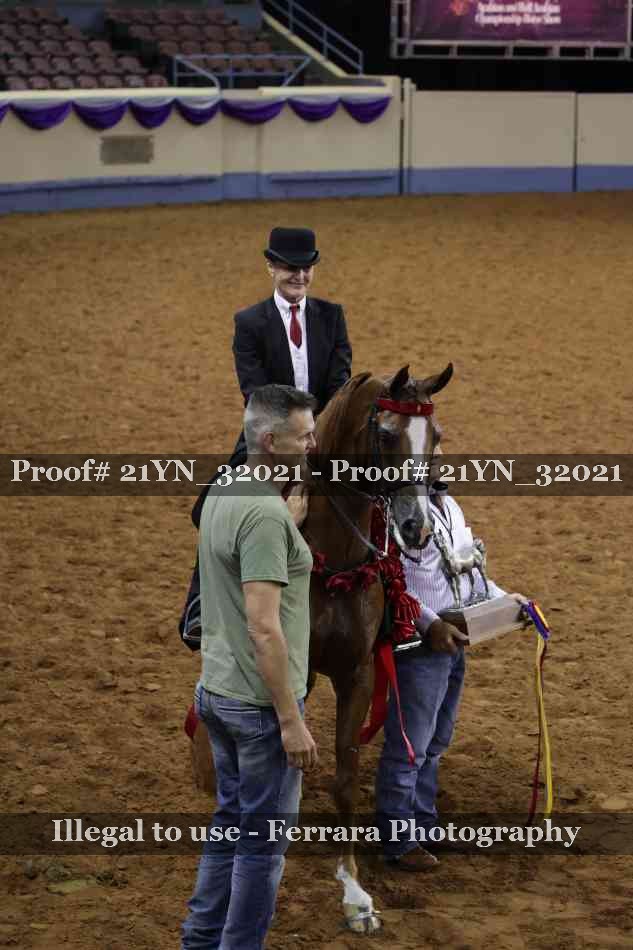 Proof 21YN_32021