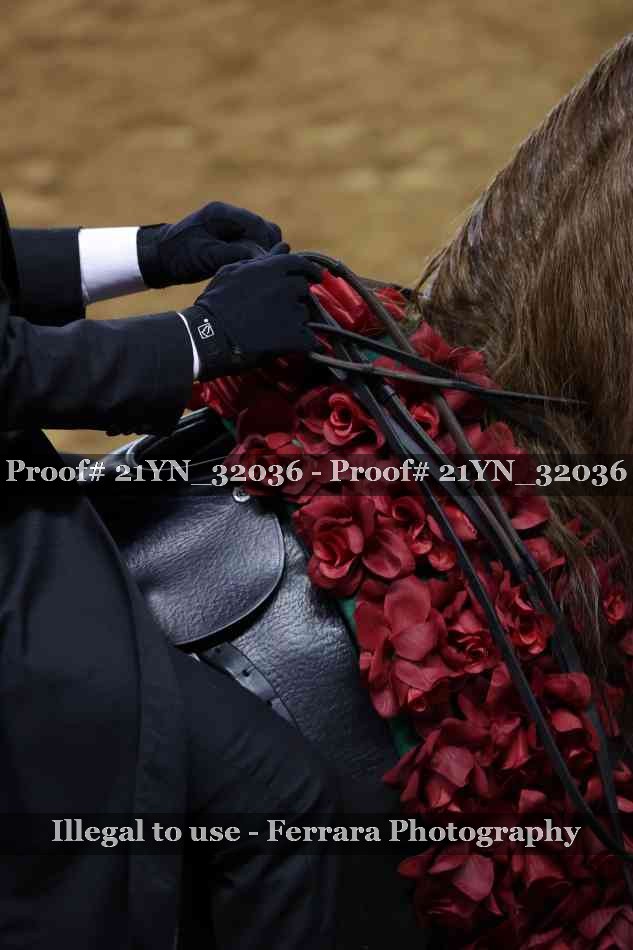 Proof 21YN_32036