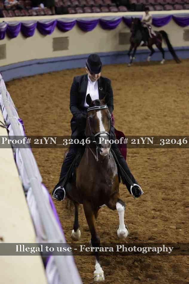 Proof 21YN_32046