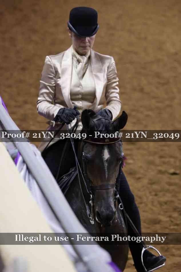 Proof 21YN_32049
