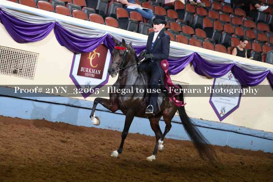 Proof 21YN_32065