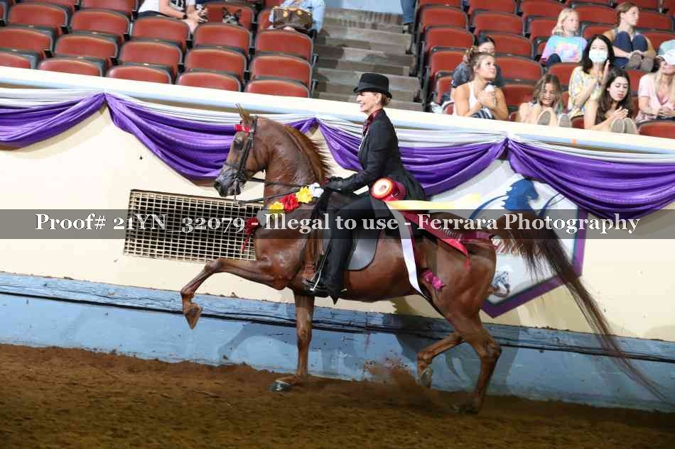 Proof 21YN_32079