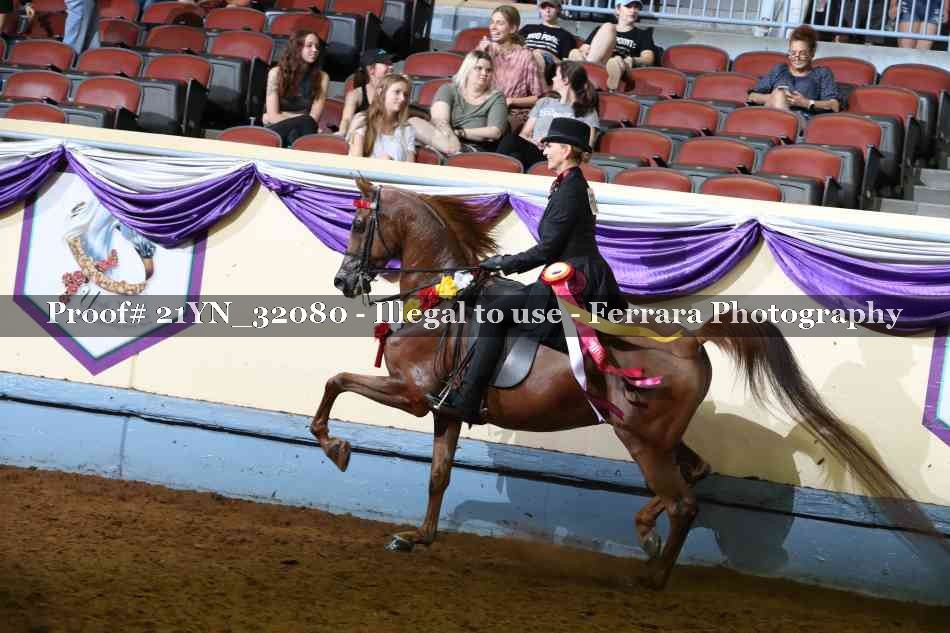Proof 21YN_32080