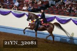21YN_32081 proof