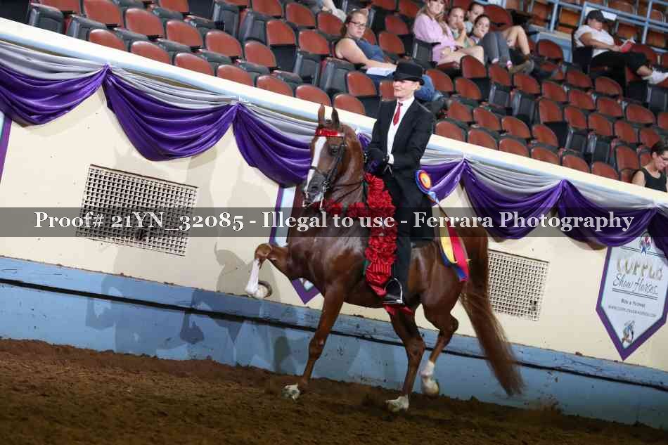 Proof 21YN_32085