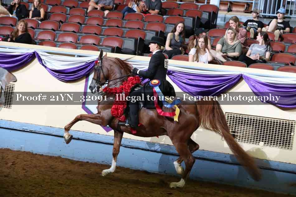 Proof 21YN_32091