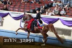 21YN_32091 proof