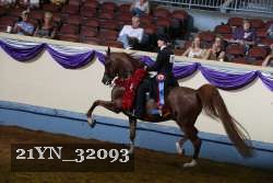 21YN_32093 proof