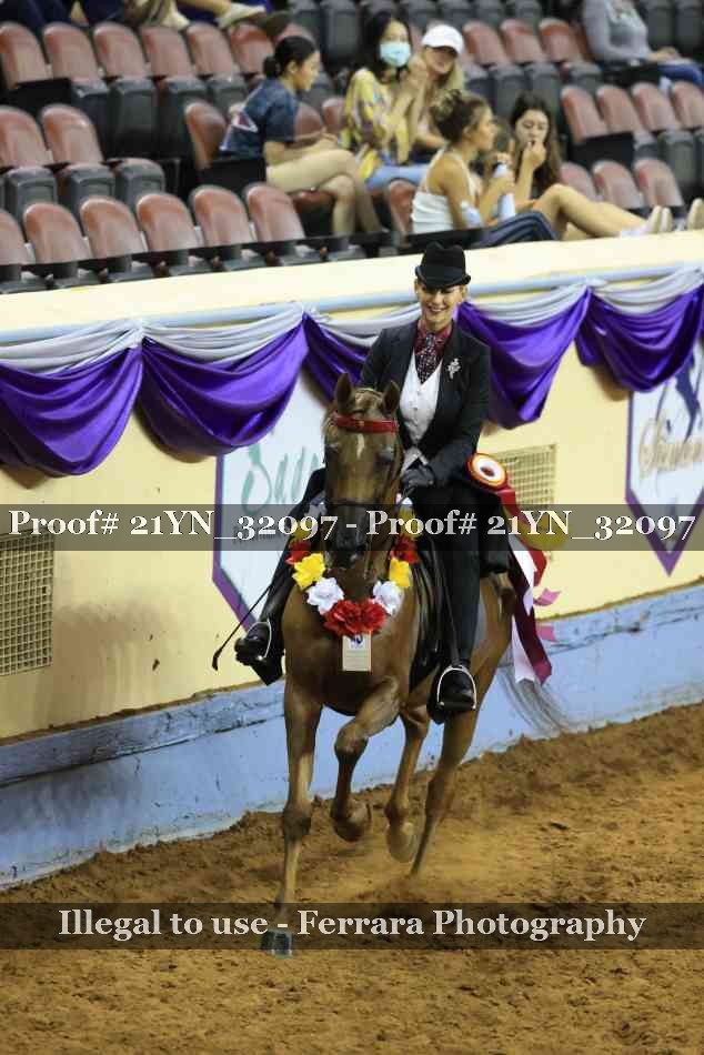 Proof 21YN_32097