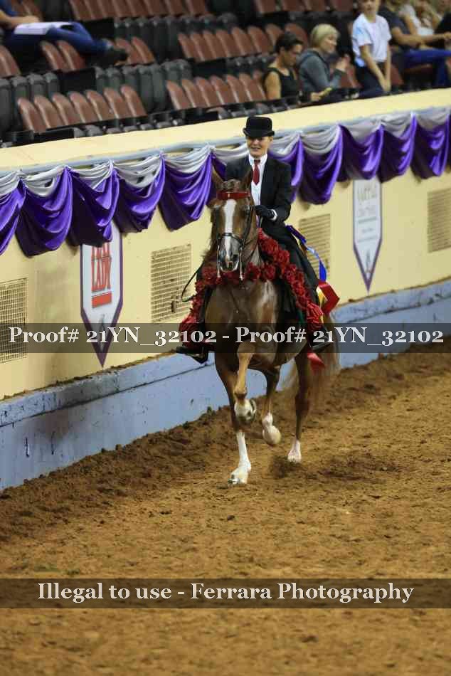 Proof 21YN_32102