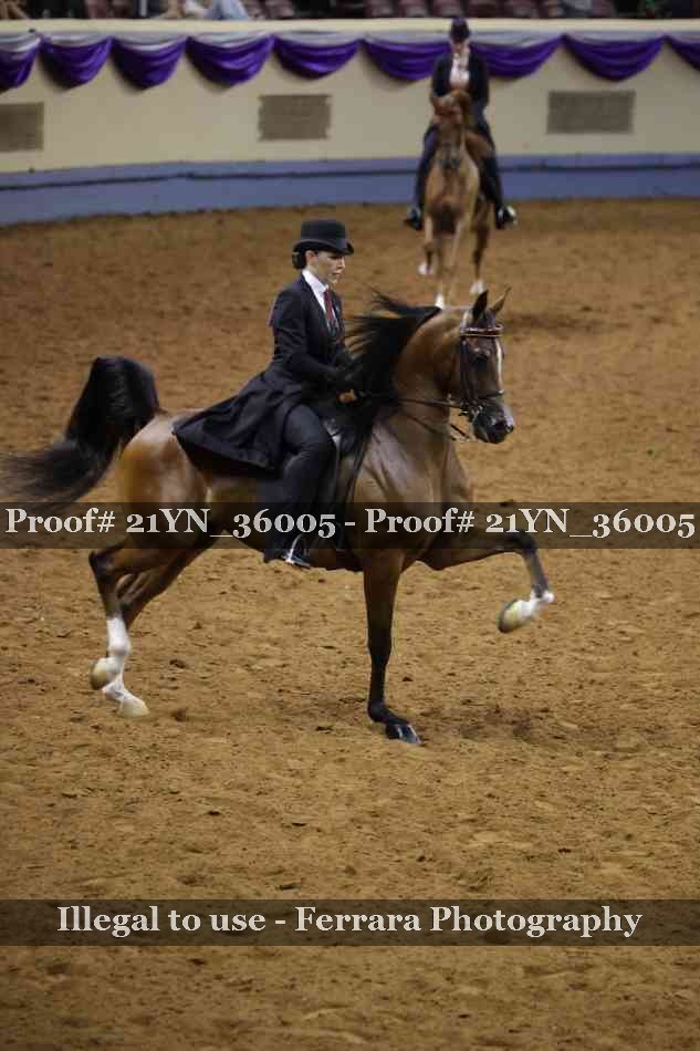 Proof 21YN_36005