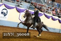 21YN_36008 proof