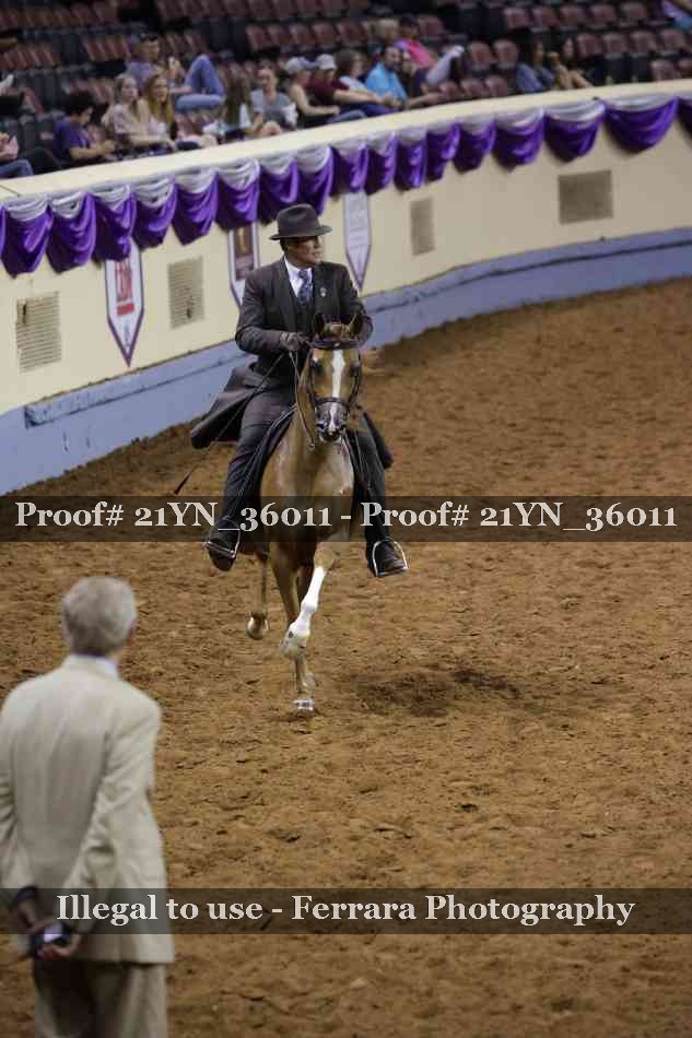 Proof 21YN_36011