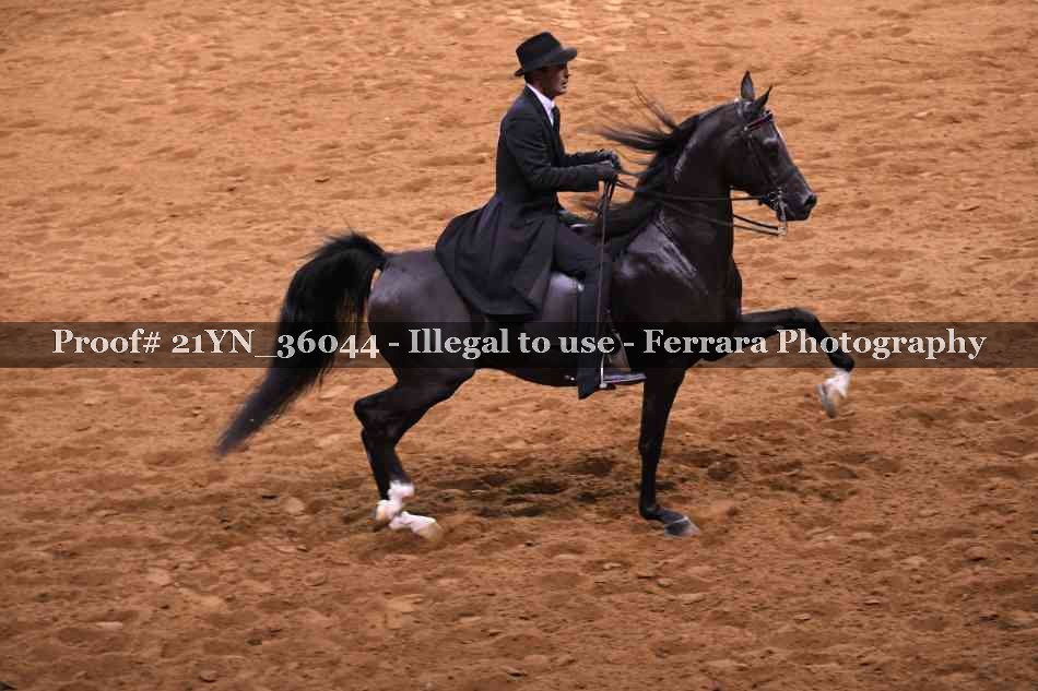 Proof 21YN_36044