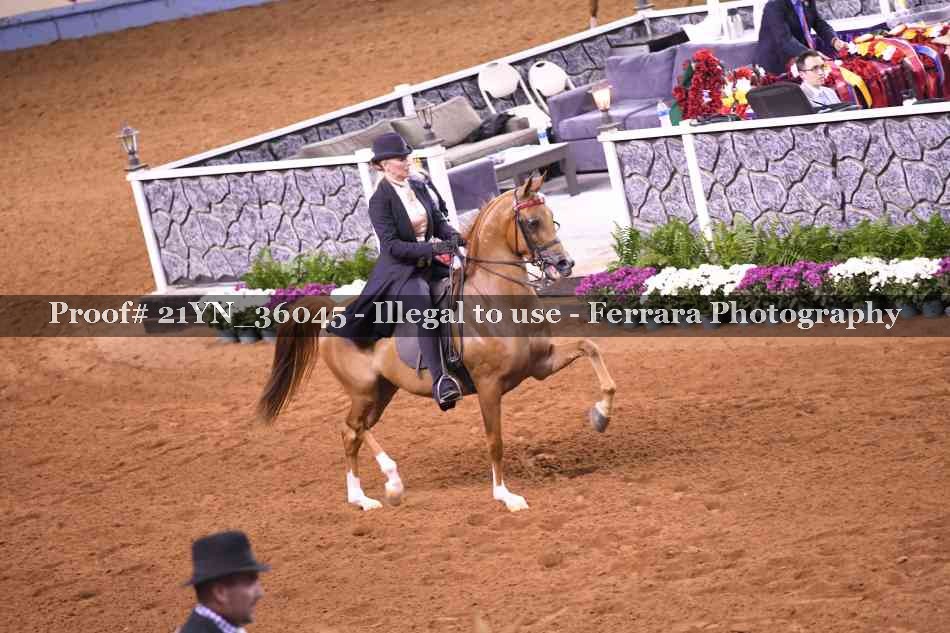 Proof 21YN_36045