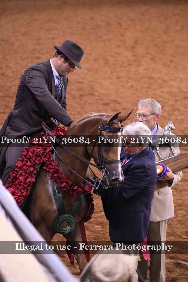 Proof 21YN_36084