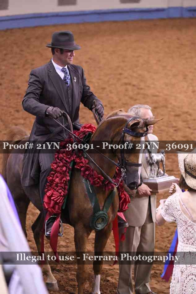 Proof 21YN_36091