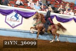 21YN_36099 proof