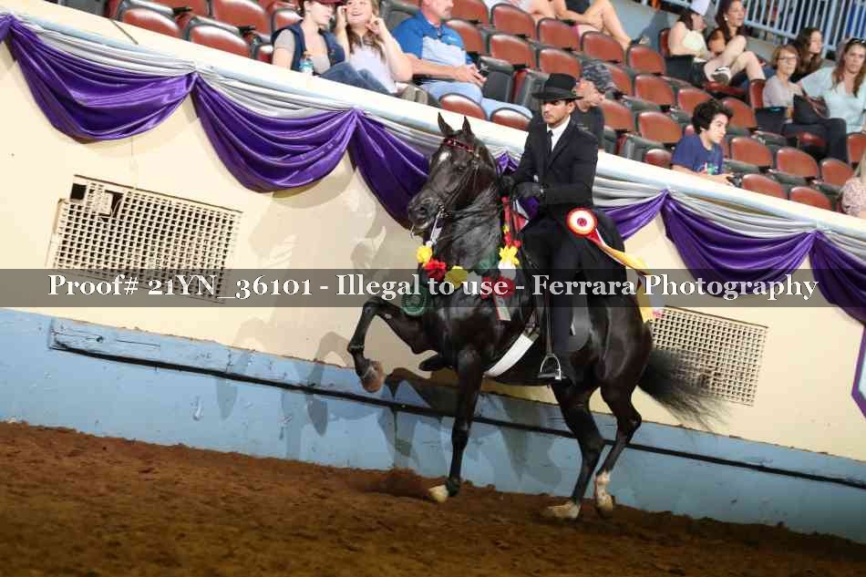 Proof 21YN_36101
