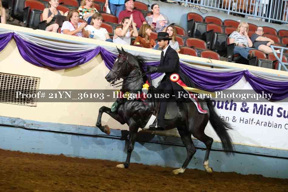 Proof 21YN_36103