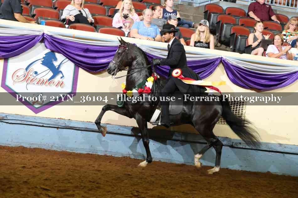 Proof 21YN_36104