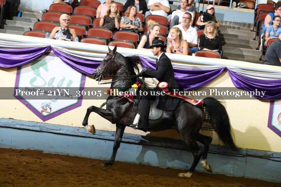 Proof 21YN_36105