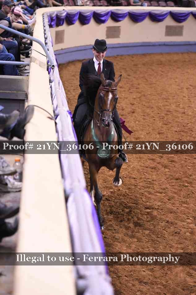 Proof 21YN_36106