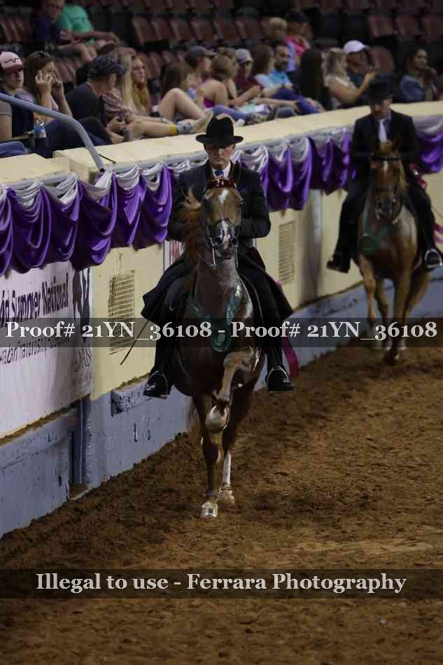 Proof 21YN_36108