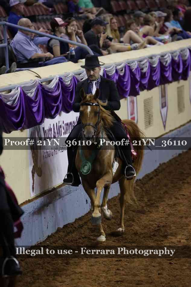Proof 21YN_36110