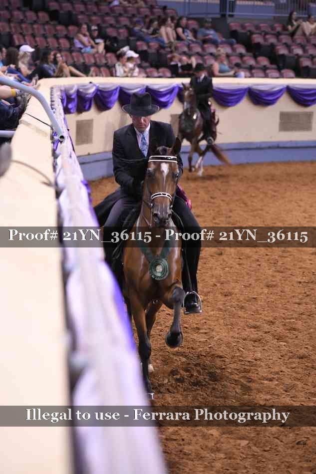 Proof 21YN_36115