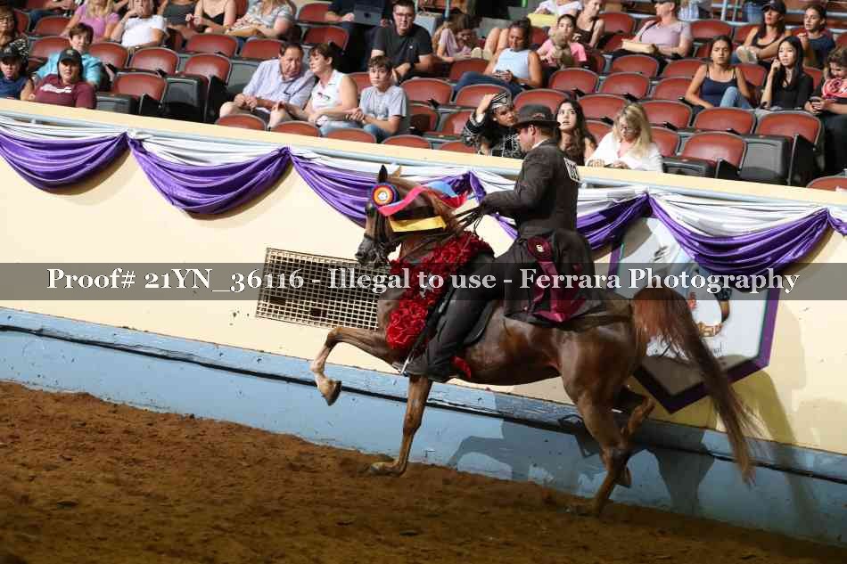 Proof 21YN_36116