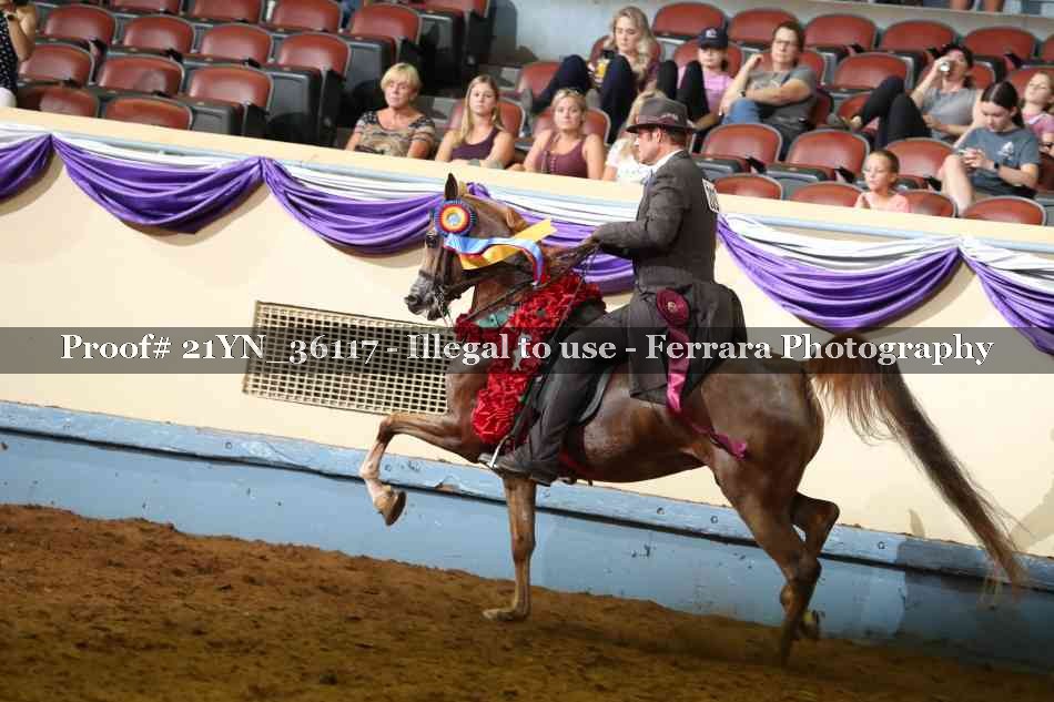 Proof 21YN_36117
