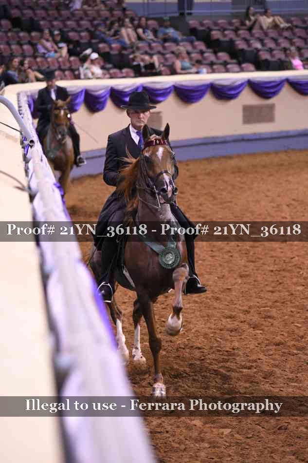 Proof 21YN_36118