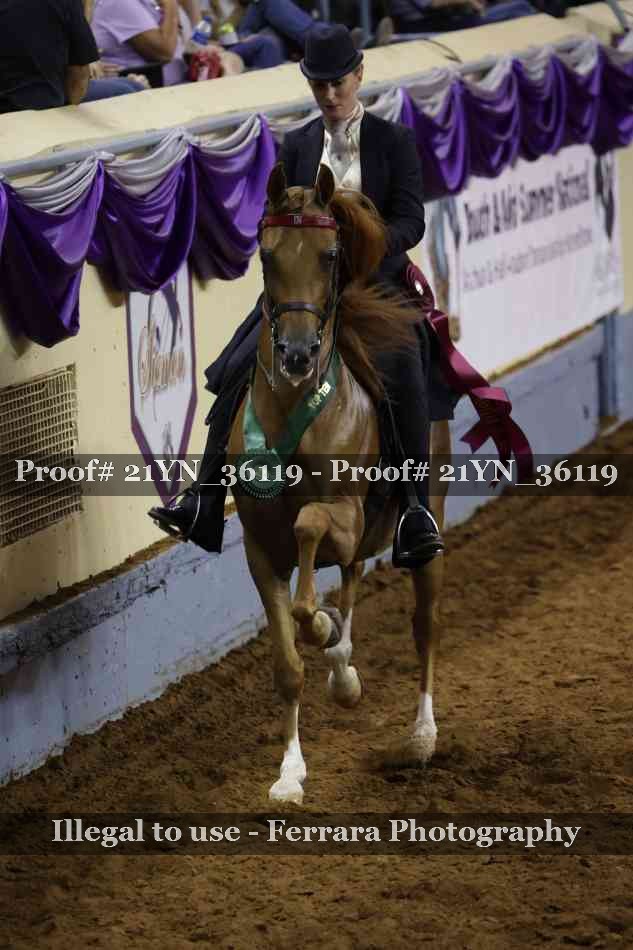 Proof 21YN_36119