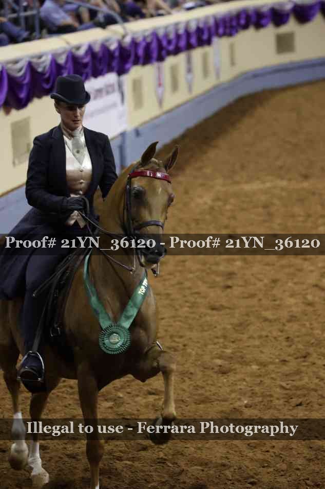 Proof 21YN_36120