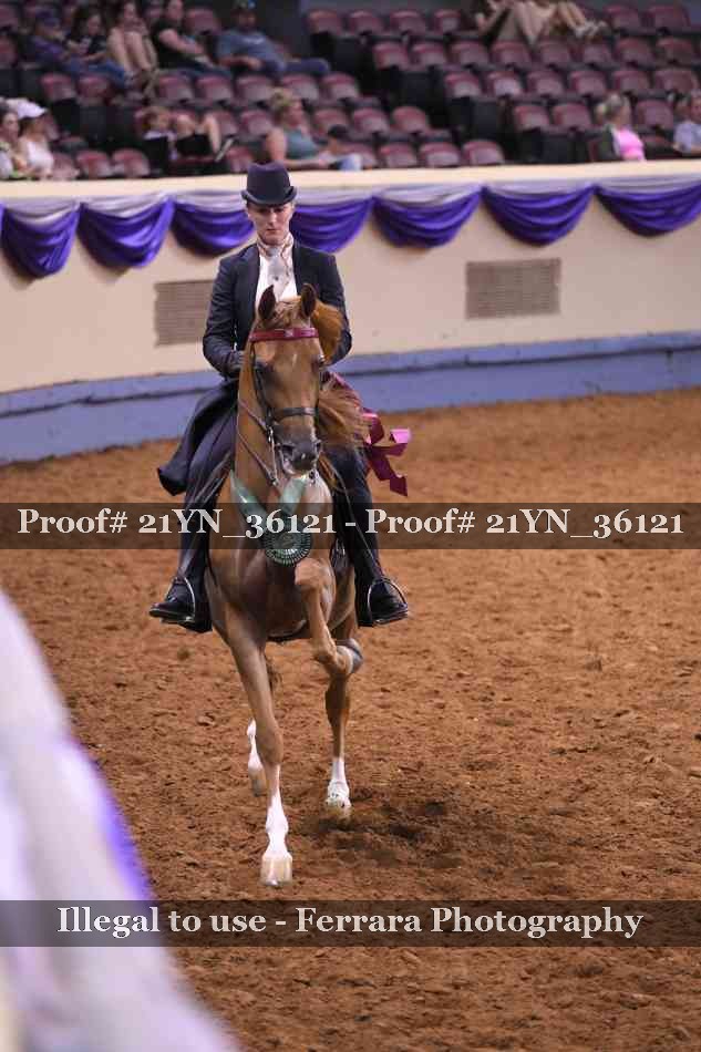 Proof 21YN_36121