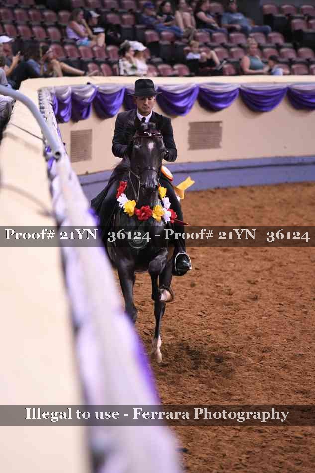 Proof 21YN_36124