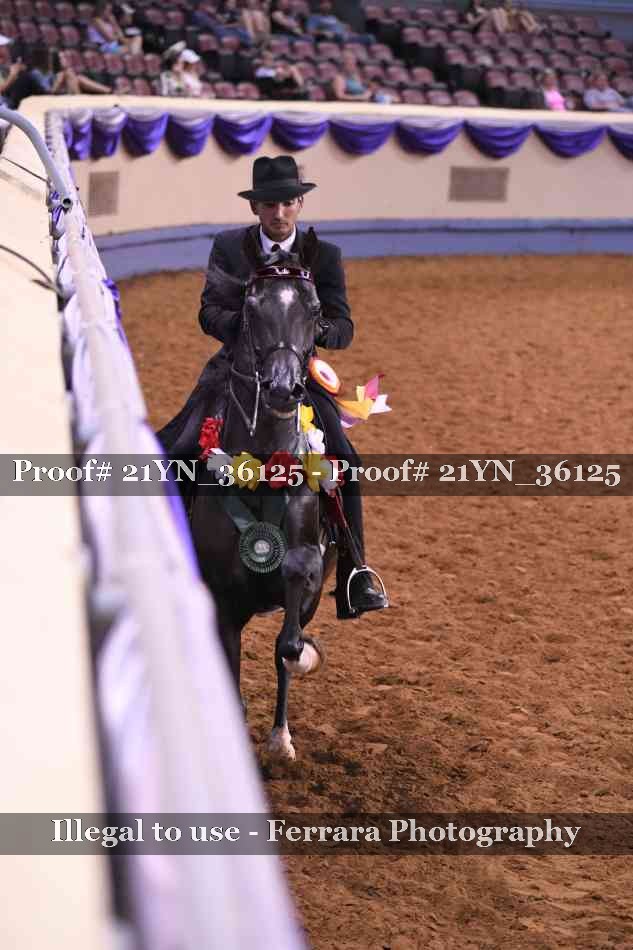 Proof 21YN_36125
