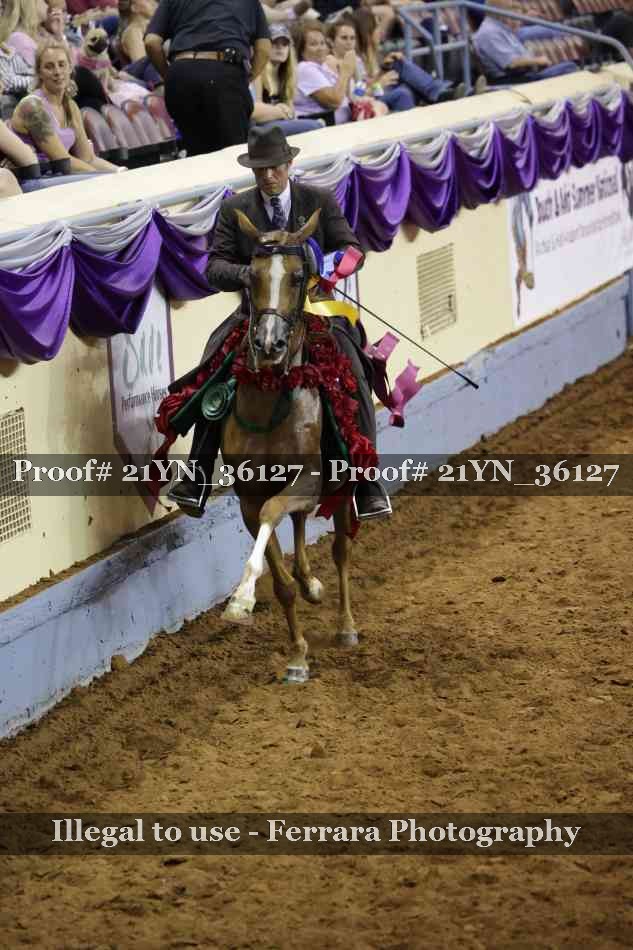 Proof 21YN_36127