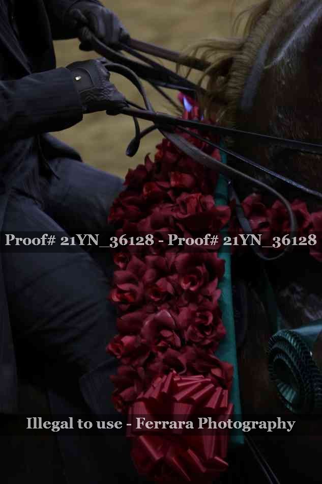 Proof 21YN_36128