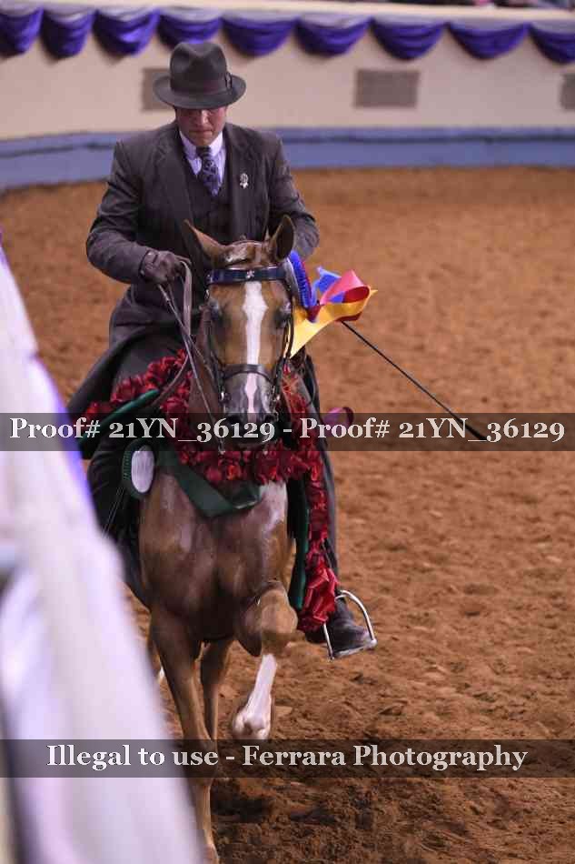 Proof 21YN_36129