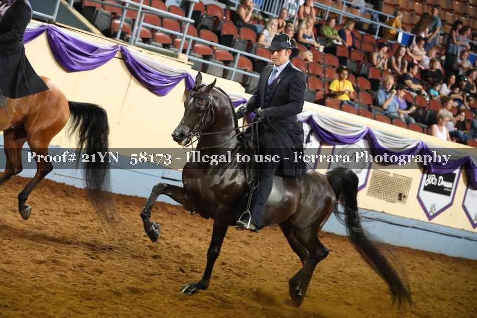 Proof 21YN_58173