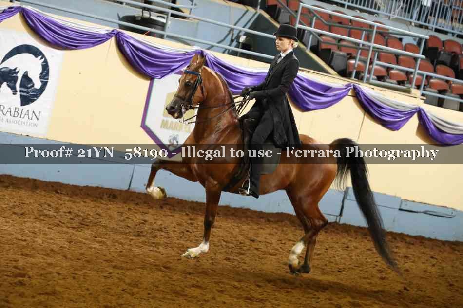 Proof 21YN_58190