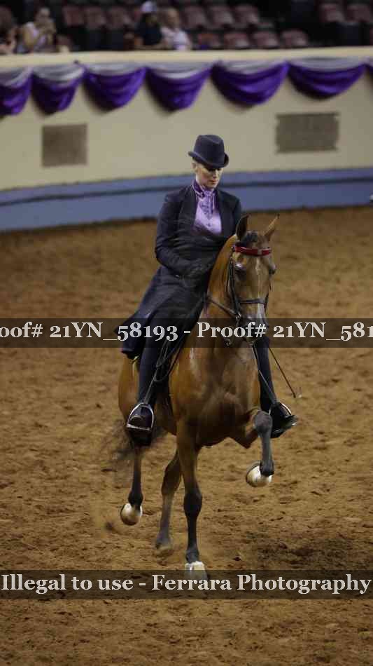 Proof 21YN_58193